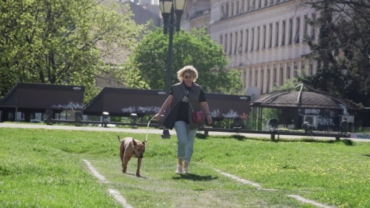 Снимка: БГНЕС