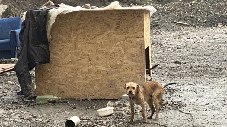 Снимка: Helpbook.info