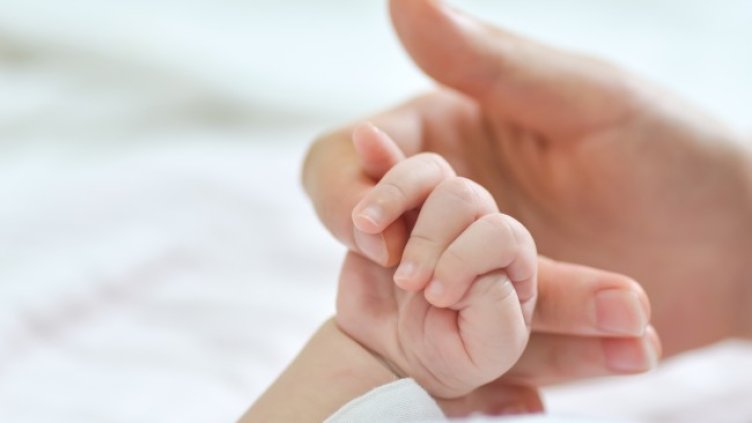 Снимка: Pixabay