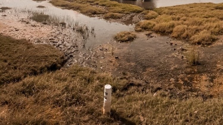 Снимка: Pixabay