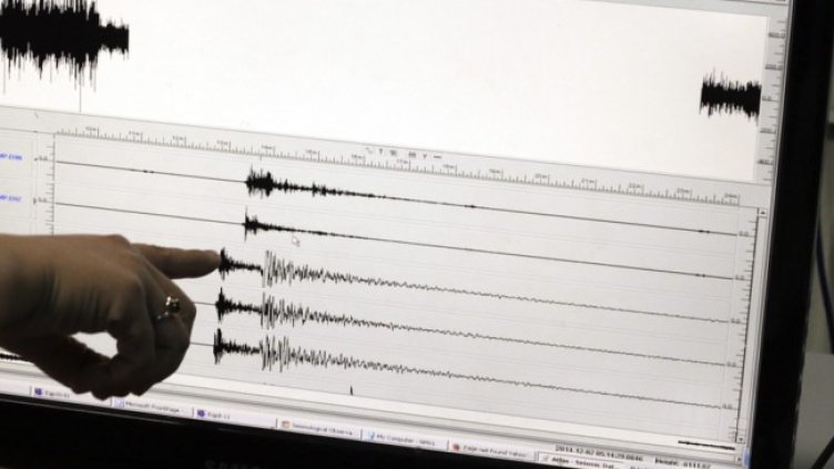 Снимка: архив, БГНЕС