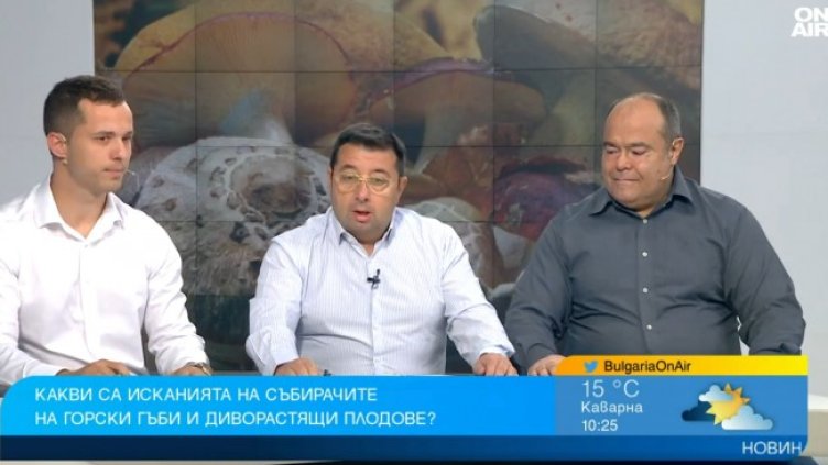 Снимка: Bulgaria ON AIR