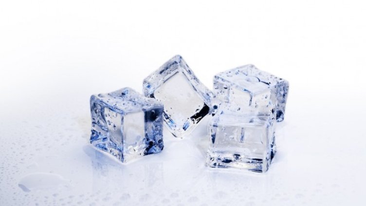 Снимка: Bruno от Pixabay