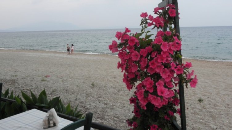 Снимка: архив, БГНЕС