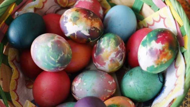 Снимка: архив, БГНЕС