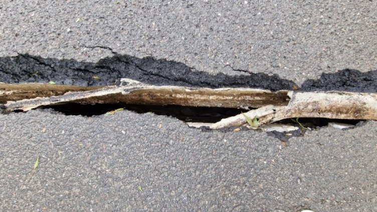 Снимка: БГНЕС, архив