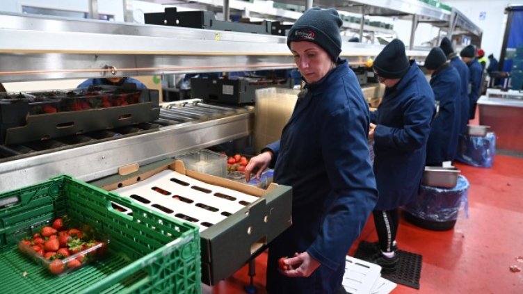 Снимка: архив, БГНЕС