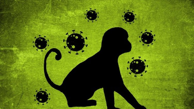 Снимка: Alexandra_Koch от Pixabay