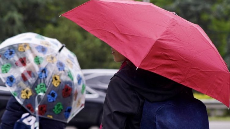 Снимка БГНЕС, архив