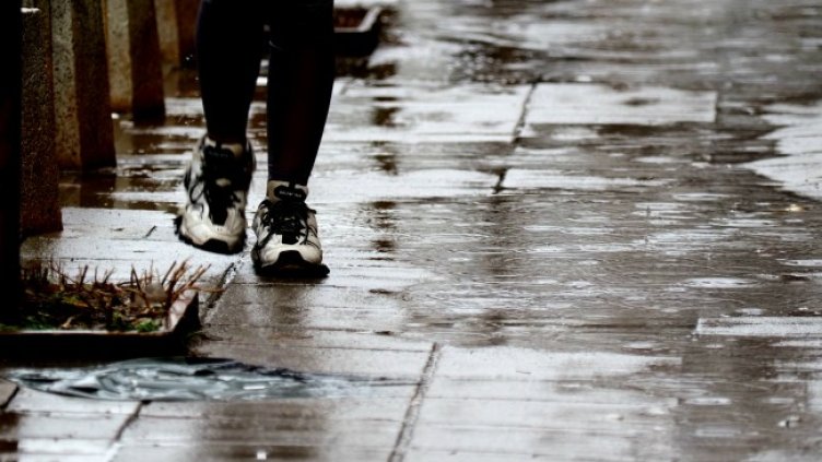 Снимка: архив, БГНЕС