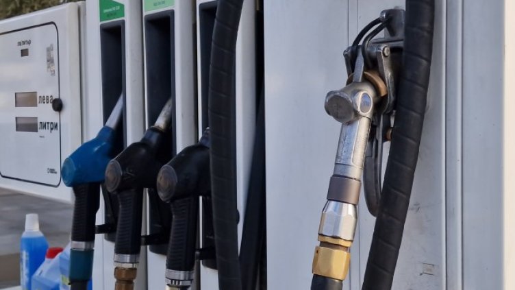 Снимка: архив, БГНЕС