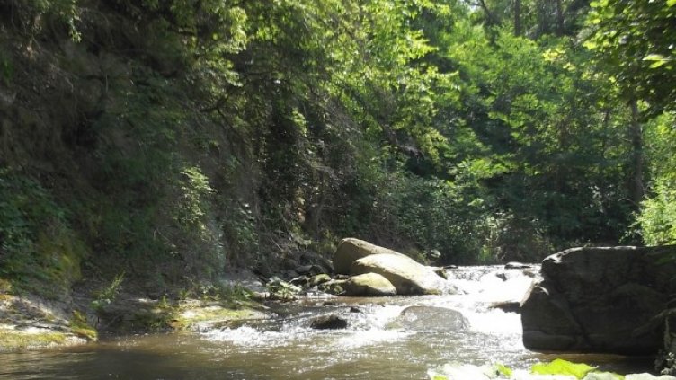 Снимка: архив, БГНЕС