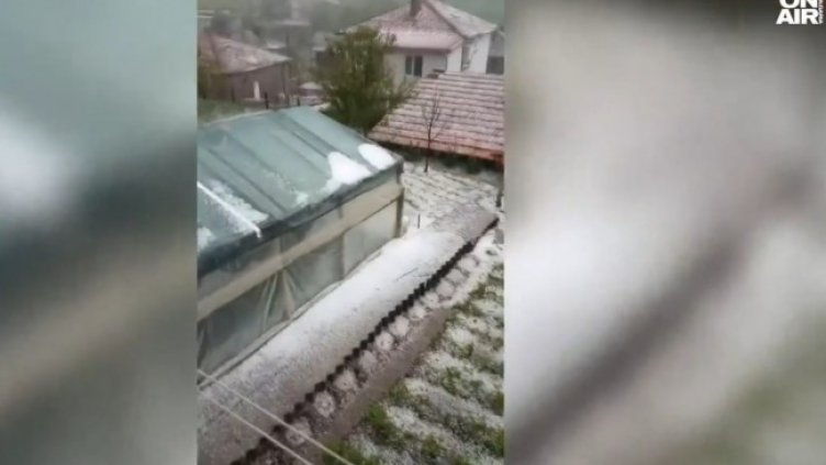 Снимка: Bulgaria ON AIR