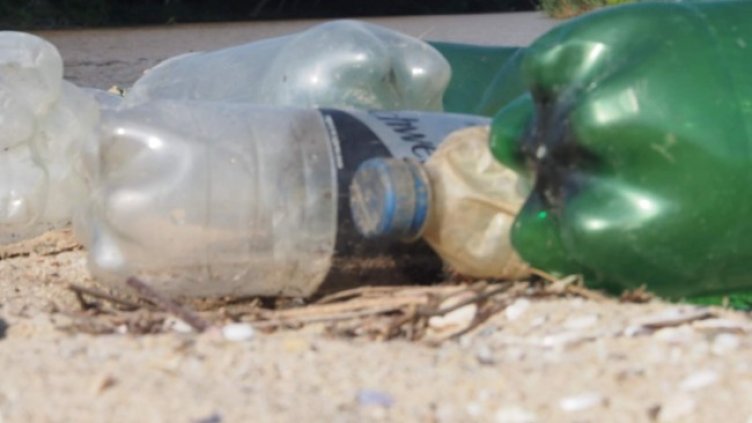 Снимка БГНЕС