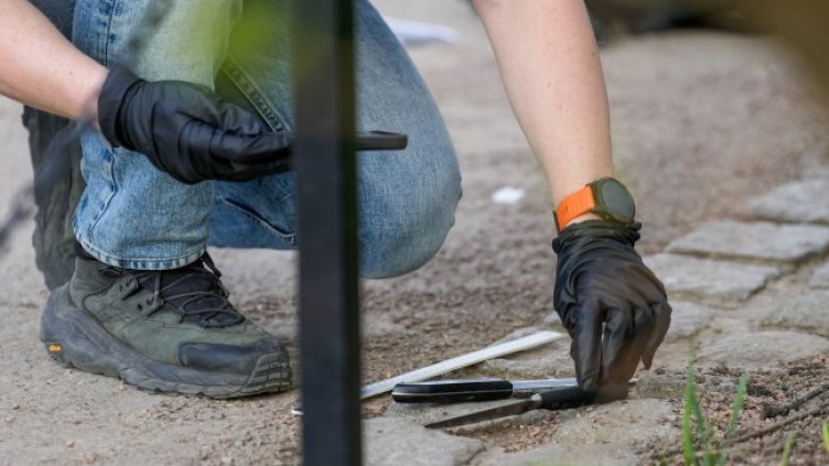 Снимка: архив, БГНЕС