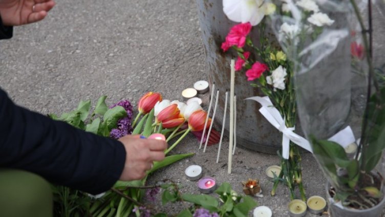 Снимка: архив, БГНЕС