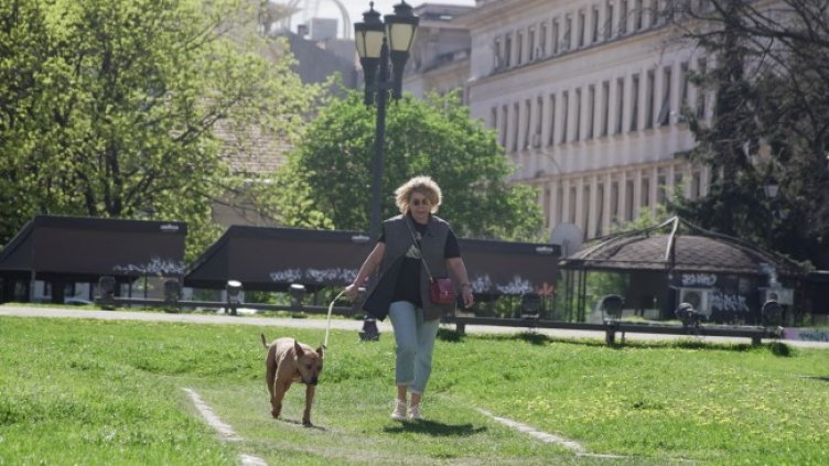 Снимка: БГНЕС