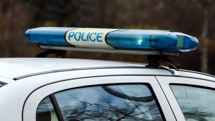 Снимка: архив, БГНЕС