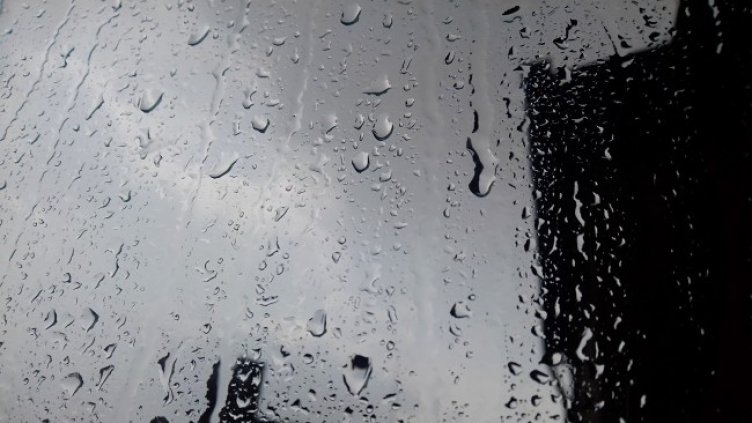 Снимка: архив, БГНЕС