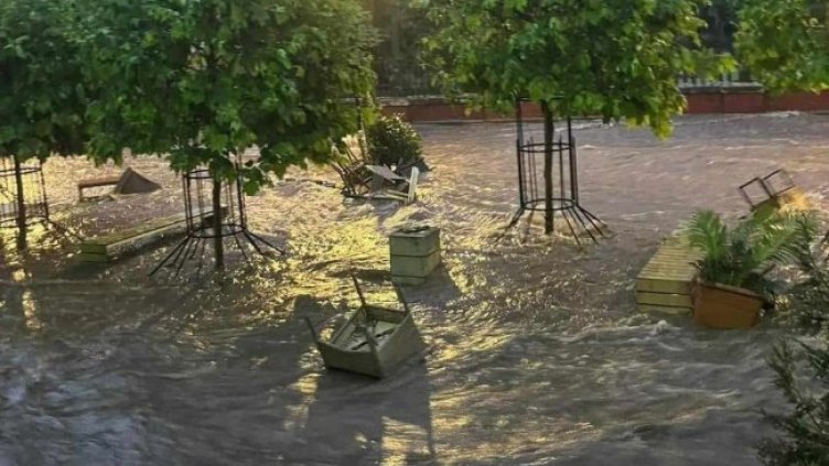 Снимка: БГНЕС