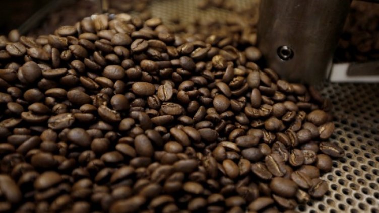 Снимка: архив, БГНЕС