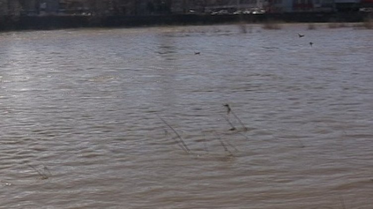 Снимка: архив, БГНЕС