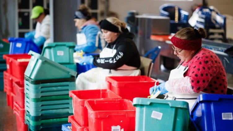 Снимка: архив, БГНЕС