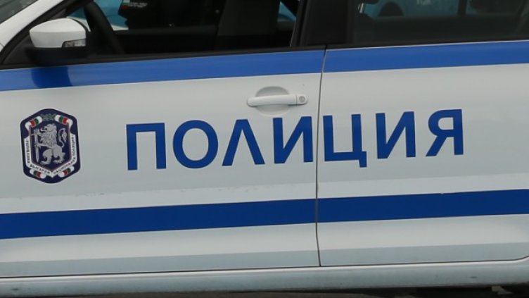 Снимка: архив, БГНЕС