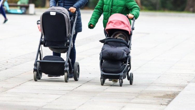 Снимка: БГНЕС, архив