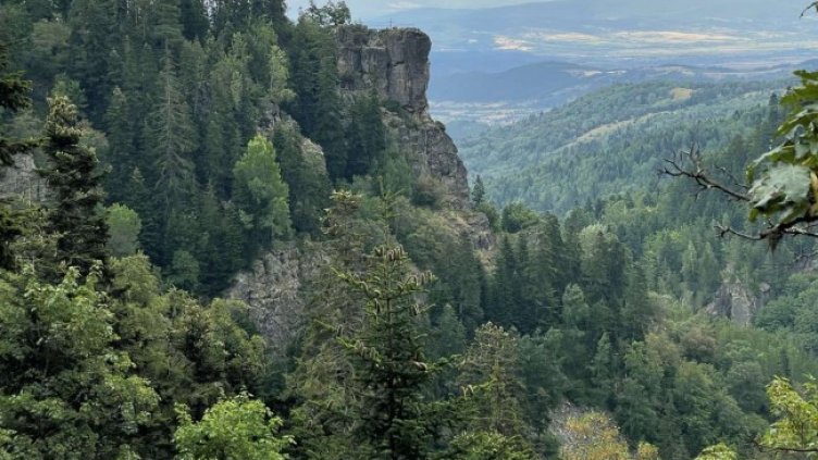 Снимка: БГНЕС, архив