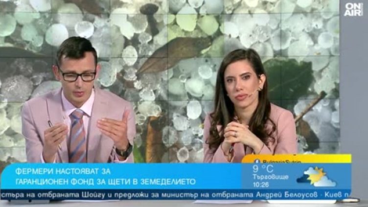 Снимка: Bulgaria ON AIR