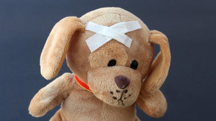 Снимка: Gaby Stein от Pixabay