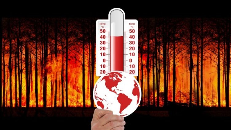 Снимка: Gerd Altmann от Pixabay