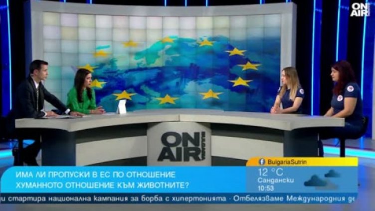 Снимка: Bulgaria ON AIR