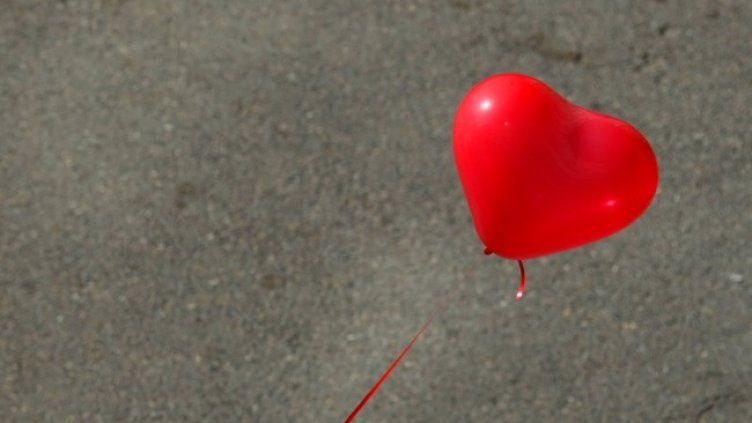 Снимка: архив, БГНЕС