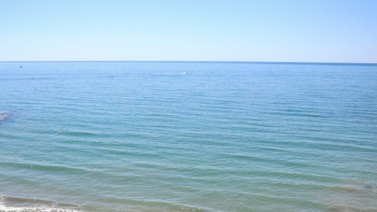 Снимка БГНЕС, архив