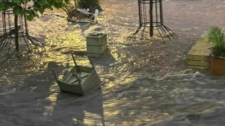 Снимка БГНЕС, архив