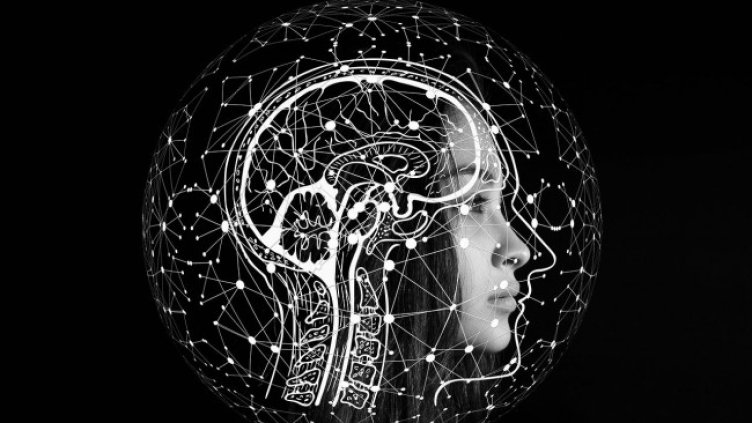 Снимка: Pixabay/ geralt