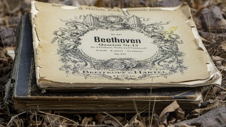 Снимка: Pixabay/Ri_Ya