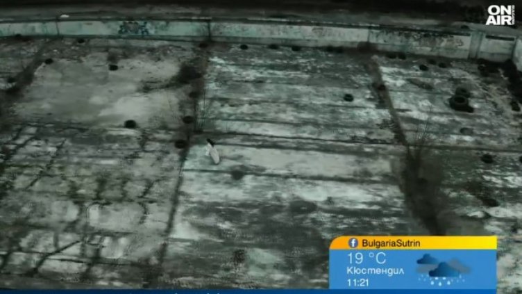 Снимка: Bulgaria ON AIR