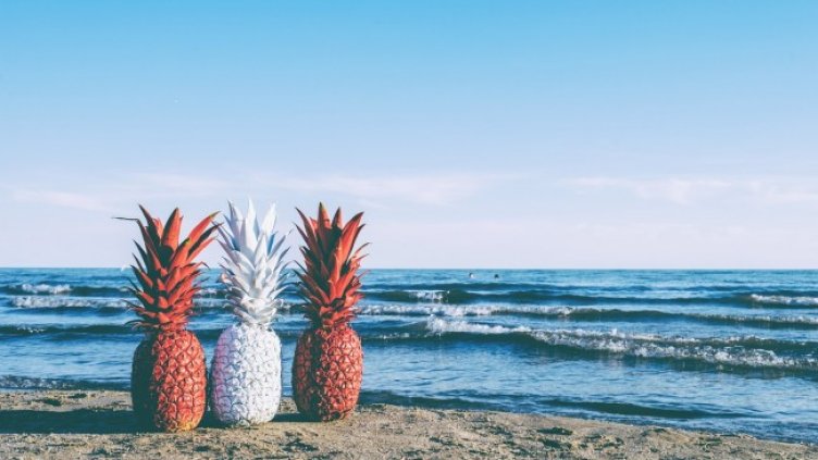 Снимка: Scott Webb от Pixabay