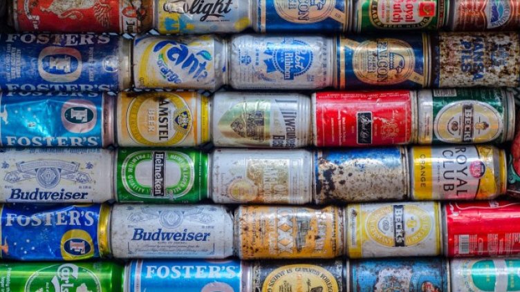 Снимка: Rudy and Peter Skitterians от Pixabay