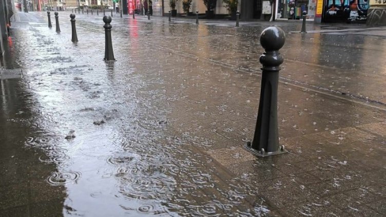 Снимка: БГНЕС, архив