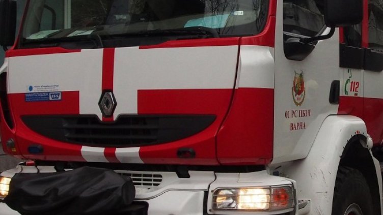 Снимка: архив, БГНЕС