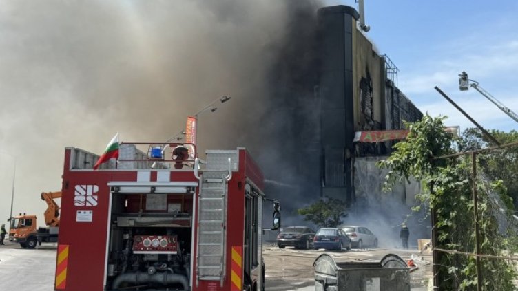 Снимка: БГНЕС