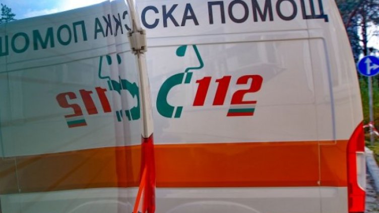 Снимка: Димитър Кьосемарлиев, Dnes.bg