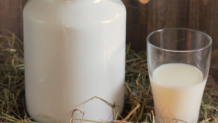 Снимка: Pixabay