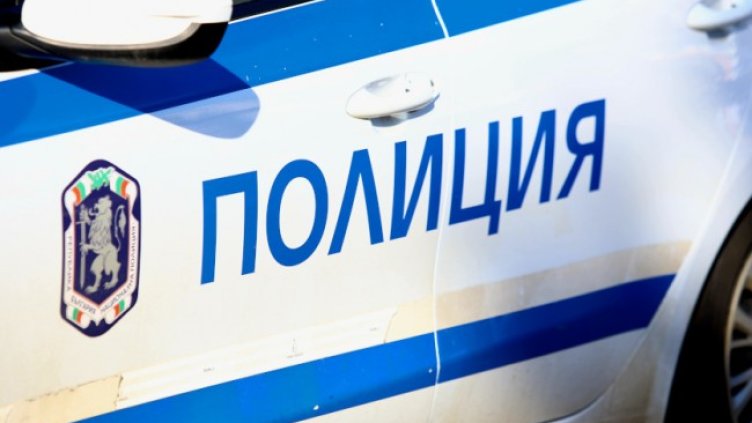 Снимка: архив, БГНЕС