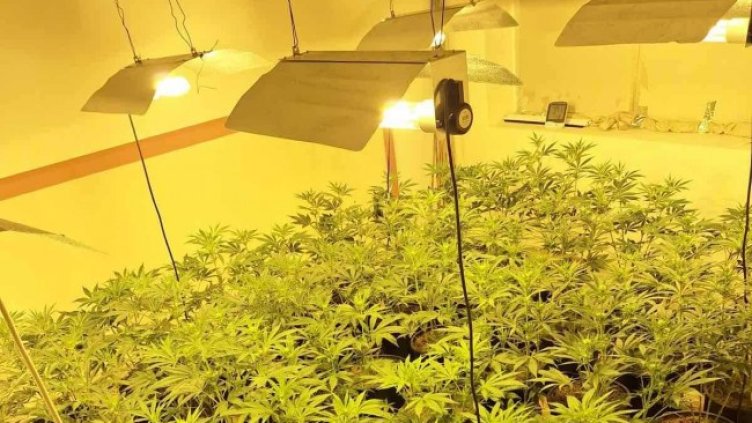 Снимка: БГНЕС, архив