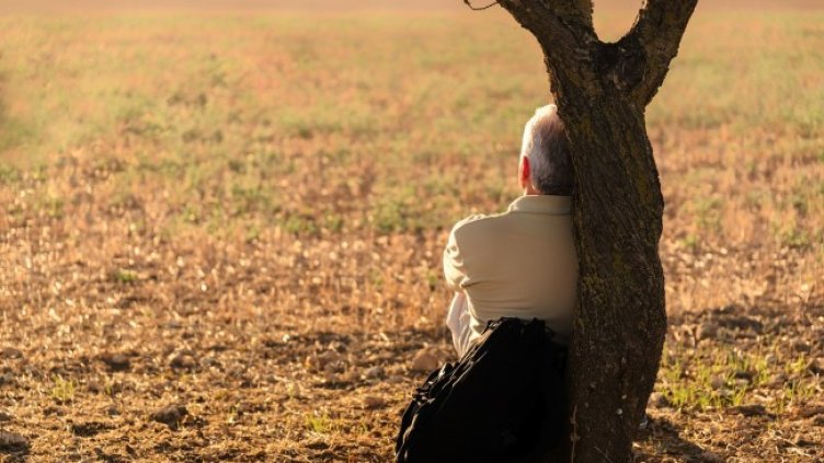 Снимка: Jose Antonio Alba от Pixabay